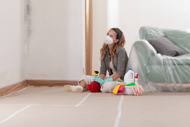 Reliable Mold Cleanup contractor in Arlington Heights, WA by Cheap Mold Removal